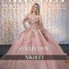 Miniatura de Vestido QUINCE - 0116