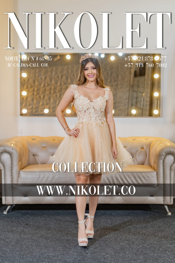 Vestido corto - C93