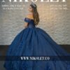 Miniatura de Vestido QUINCE - 0176