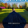 Miniatura de Vestido quince - Proxima colección 2026